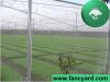 Insect Proof Net, Inse...