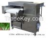 Vegetable Root Cutting...