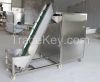 Automatic onion dicing machine