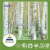 Natural Betulinic Acid Powder White Birch Bark Extract 98% Best Price in food supplement 