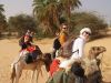 Trips and vacations in...