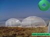 warm house, greenhouse...