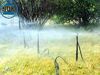Irrigation System, Dri...