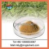 green tea extract