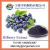 Bilberry Extract