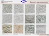 various processing of ...