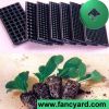Plastic seeding tray, ...