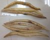 Eel Fishmaw