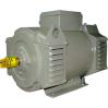 DC shunt motors