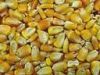 Sugar ,Yellow corn ,Wh...