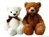 plush toys teddy bear