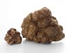 White Truffles
