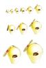 Display Shells
