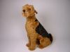 Airedale Terrier