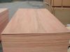 Hardwood Plywood