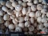 frozen whole white mushroom