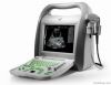Digital Veterinary Por...