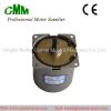 Synchronous gear motor