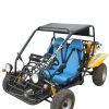 Buggy 250cc