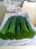 Fresh Herbs and Chives