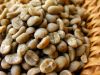 Export Coffee Beans | Coffee Bean Importer | Coffee Beans Buyer | Buy Coffee Beans | Coffee Bean Wholesaler | Coffee Bean Manufacturer | Best Coffee Bean Exporter | Low Price Coffee Beans | Best Quality Coffee Bean | Coffee Bean Supplier | Sell Coffee Bea