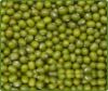 GREEN MUNG BEANS