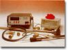 Tungsten-Rhenium Therm...