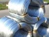 Galvanized Steel Wire ...