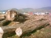 TEAK ROUND LOGS