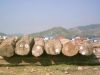 TEAK ROUND LOGS