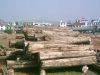 TEAK ROUND LOGS