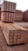 Wood sleepers for rail