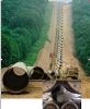 rolling machine of win...