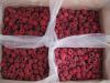 Europe Red Raspberry
