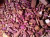 Rough Precious Gemstones