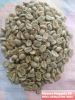 arabica coffee beans a...