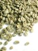 Export Green Coffee Be...