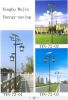 Solar garden lights, Luces solares de jardÃ­n, Lampes de jardin solaires