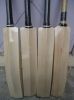 english willow cricket bat