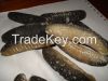  Dried sea Cucumber fr...