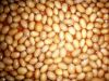 canned baked beans in ...