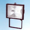 Halogen Flood Light