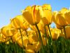 test 1234