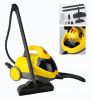 Multi function Steam C...