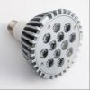 PAR38-12X1W LED Light