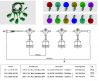 lighting chain