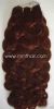 Virgin Indian Hair Weft