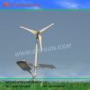 Small Wind Turbine 300W 