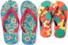 beach rubber slipper and flip flop