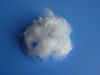 polyester stapel fiber...
